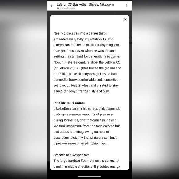 LeBron XX Basketball Shoes - Picture 14 of 14